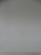 door right front KIA CARENS IV 13-19R. KOD : D1