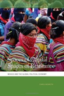 Spaces of Capital/Spaces of Resistance: Mexico