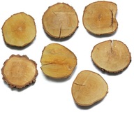 Plátky dreva 7 ks na záhradnú cestu 15-20 cm