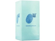 FILTR PALIWA BLUE PRINT ADG02328
