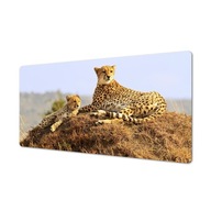 Podložka na dosku so vzorom z foto Gepard mladé zviera