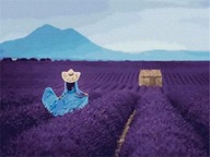 Gyémánt mozaik Nő a levendulamezőn 60650