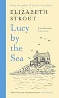 Lucy by the Sea: From the Booker-shortlisted