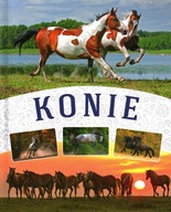 KONIE - MAŁGORZATA MĄKOSA