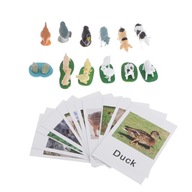 Materiál Montessori Model zvieracích postáv so zodpovedajúcou farmou hracích kariet