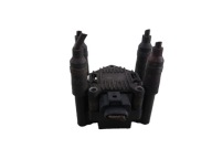 VW GOLF IV SEAT LEON and 1.4 coil ignition