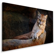 Obraz na plátne PUMA Divoká mačka príroda 3D 120x80