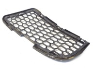 grid of a bumper left front left front BMW 5 F10 8047393
