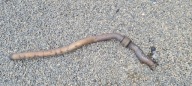 A6 C7 4G pipe exhaust net DRGAN 3.0 TDI 4G0254350B A7 4G