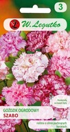 @Goździk ogrodowy Szabo - mieszanka o kwiatach pstrych 0,2g Legutko
