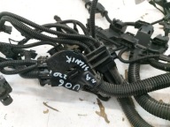 BMW U06 200i 1.5TB cablaggio Motore