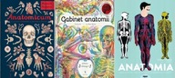 Anatomicum + Gabinet anatomii + Anatomia Obraz
