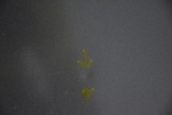 bonnet OPEL ASTRA J IV