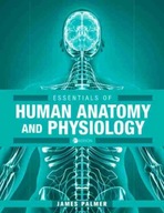 Essentials of Human Anatomy and Physiology Palmer