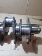 AUDI Q7 4L 4.2 TDI crank 057L