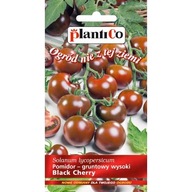 Pomidor Black Cherry 0,2g PlantiCo nasiona