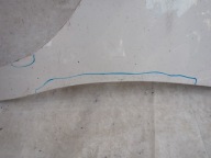 CITROEN C3 II 09- fender front front left