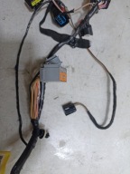 bundle wiring door rear part left side Chrysler Town and Country