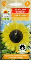Slnečnica Okrasná Lemon Queen Zažite letnú mágiu vo vašej záhrade semienka