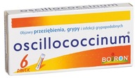 Oscillococcinum, 6 dawek, granulki