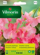 Hrášok voňavý ružový semená Vilmorin
