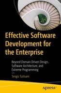 Effective Software Development for the