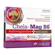 Chela-Mag B6 Ashwagandha+zen-ženšen 30 kapsúl