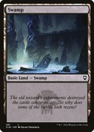 MtG: Swamp (V.3) (xCLB)