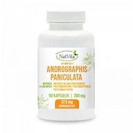 Andrographis Paniculata Extrakt Imunita Pečeň 90 Kaps 390mg NatVita