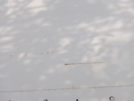 door right sliding FIAT DUCATO III