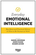 Harvard Business Review Everyday Emotional