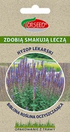 Semená yzop lekársky GRASPAPIER - Torseed