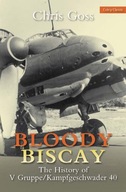 Bloody Biscay: The History of V