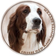 Samolepka na auto - Irský červeno bílý setr - Irish Red & White Setter