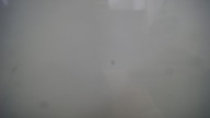 door sliding left VOLKSWAGEN T5