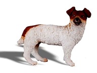 PIES JACK RUSSELL TERIER