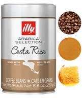 illy COSTA RICA Arabica zrnková káva 250g