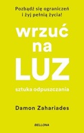 WRZUĆ NA LUZ. SZTUKA ODPUSZCZANIA