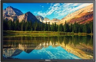 Monitor Dell P2417H LED IPS FHD 16:9 FullHD