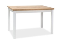 Kuchynský stôl ADAM dub lancelot/biela 100x60cm jedáleň
