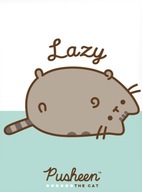 Veľká deka PUSHEEN THE CAT LAZY CAT ORIGINÁL LICENCIA 130x170 PEKNÁ PLYŠ