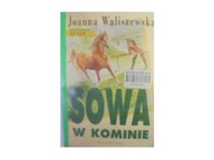 Sowa w kominie - Waliszewska