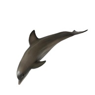 Modely morských zvieratiek pod morským delfínom