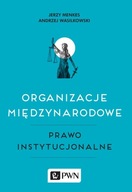 Organizacje międzynarodowe, Prawo instytucjonalne