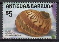 Muszle - Antigua i Barbuda 1986 Mi 957 Czyste **