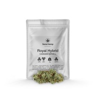 Susz Kwiaty Konopi Royal Hybrid CBD 9% CBG 9% 1G