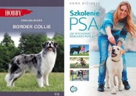Border Collie + Szkolenie psa