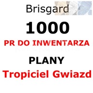 B 1000PR + PLANY TROPICIEL GWIAZD Brisgard FOE FORGE OF EMPIRES