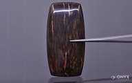 Fosílne drevo nízky kabošon cushion 43x22 mm