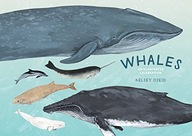 Whales: An Illustrated Celebration Oseid Kelsey